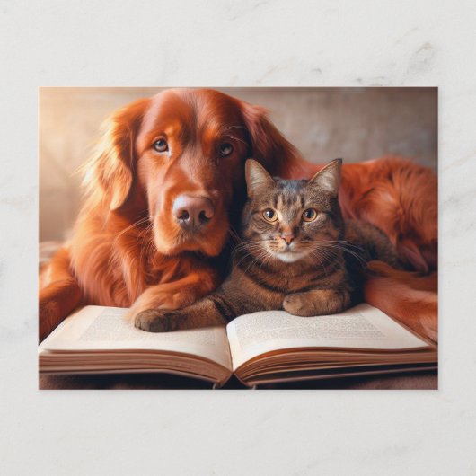Carte Postale Chat et chien lisant un livre (Devant)