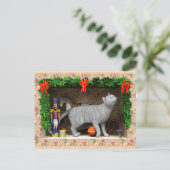 Carte Postale Chat et décorations de Noël (Debout devant)
