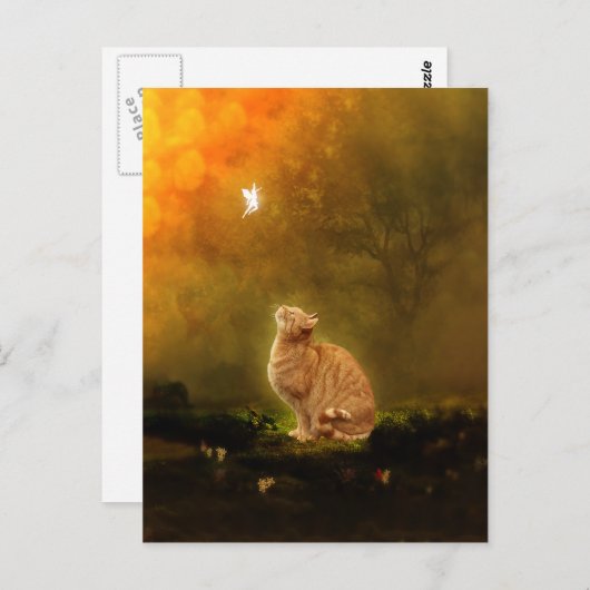 Carte Postale Chat et fée (Devant / Derrière)