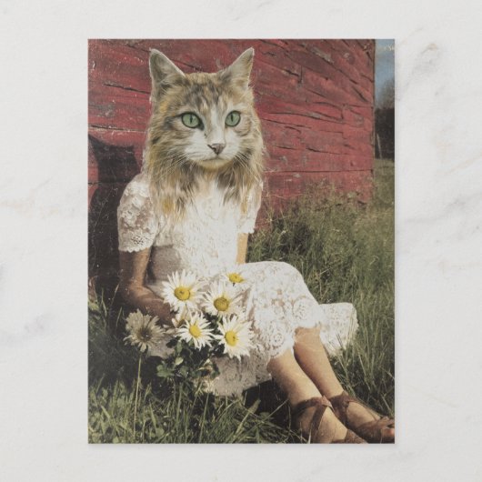 Carte Postale Chat et fleurs (Devant)