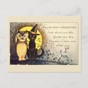 Carte Postale Chat et hibou amicaux Halloween vintage début des