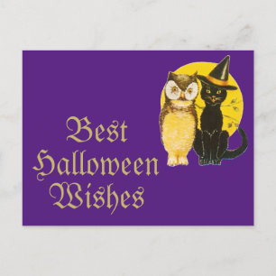 Carte Postale Chat et hibou noirs d'Halloween