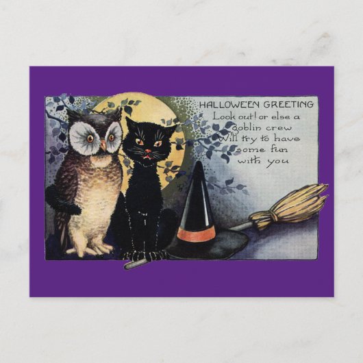 Carte Postale Chat et hibou noirs d'Halloween (Devant)