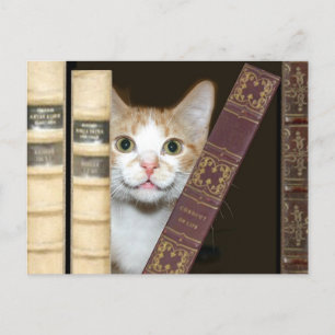 Carte Postale Chat et livres