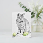 Carte Postale Chat et pommes (Debout devant)