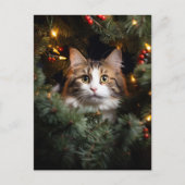 Carte Postale Chat et sapin de Noël (Devant)