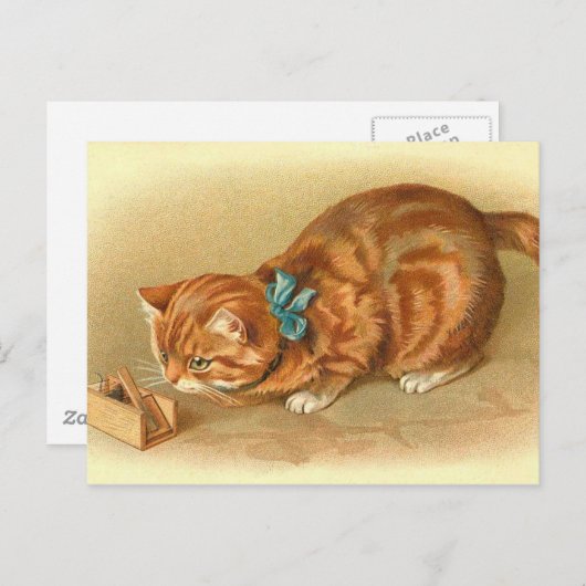 Carte postale "Chat et souris" (Devant / Derrière)