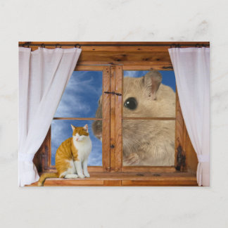 Carte Postale Chat et Souris Drôles