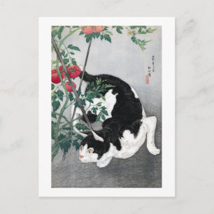 Carte Postale Chat et tomate, Takahashi Shotei
