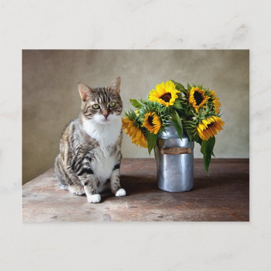 Carte Postale Chat et tournesols (Devant)