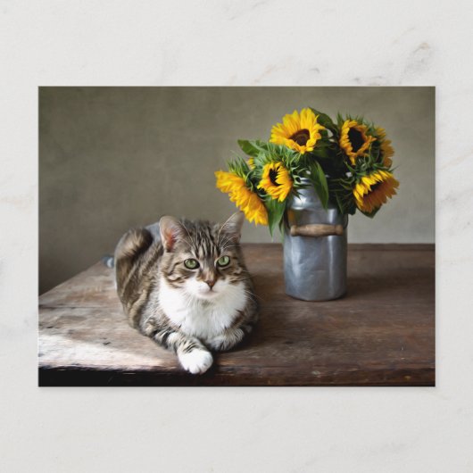 Carte Postale Chat et tournesols (Devant)