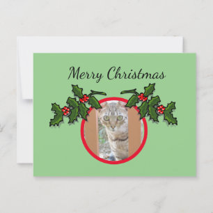 Carte postale - Chat et voeux de Noël