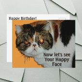 Carte Postale Chat Exotique Grognon à Poil Court Persan