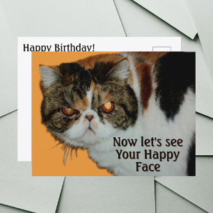 Carte Postale Chat Exotique Grognon à Poil Court Persan