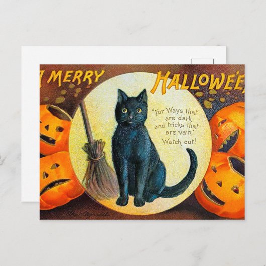 Carte Postale Chat Falln Joyeux Halloween (Devant / Derrière)