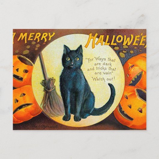 Carte Postale Chat Falln Joyeux Halloween (Devant)