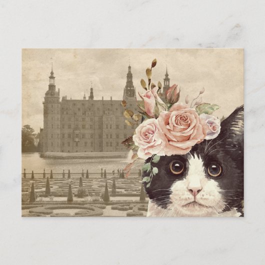 Carte Postale Chat fantaisie & Château (Devant)