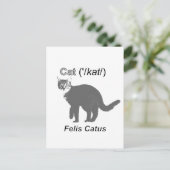 Carte Postale Chat Felis Catus (Debout devant)