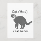 Carte Postale Chat Felis Catus (Devant)