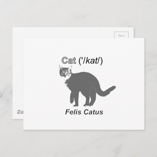 Carte Postale Chat Felis Catus (Devant / Derrière)