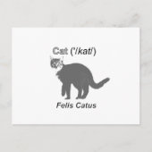 Carte Postale Chat Felis Catus (Devant)