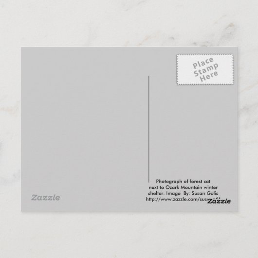 Carte postale Chat Feral Forest (Dos)