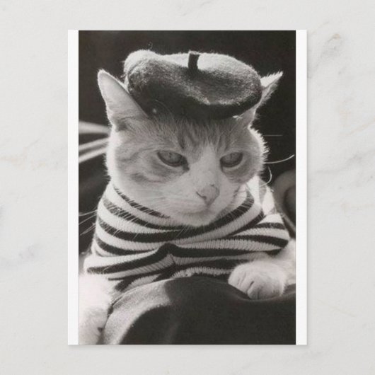 Carte Postale chat français vintage (Devant)