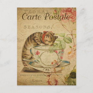 Carte Postale Chat français vintage à boire de la tasse de thé