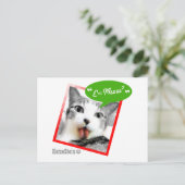 Carte Postale chat futé (Debout devant)