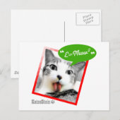 Carte Postale chat futé (Devant / Derrière)