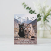 Carte Postale Chat gai contre Chat grumpy - Humour (Debout devant)