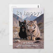 Carte Postale Chat gai contre Chat grumpy - Humour (Devant / Derrière)