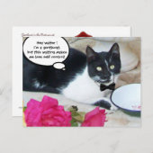 Carte Postale CHAT GENTIL DANS LE RESTAURANT Joyeux anniversaire (Devant / Derrière)