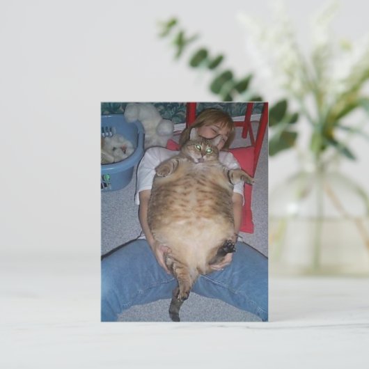 Carte Postale Chat gras moche (Debout devant)