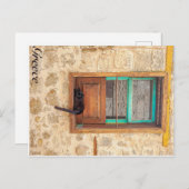 Carte Postale chat grec (Devant / Derrière)