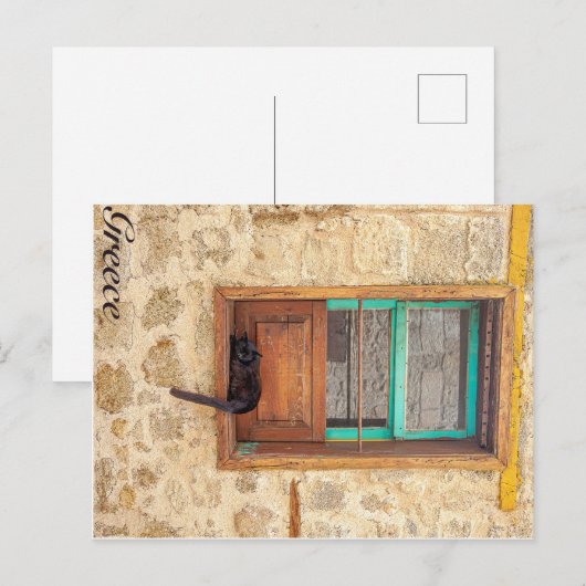 Carte Postale chat grec (Devant / Derrière)