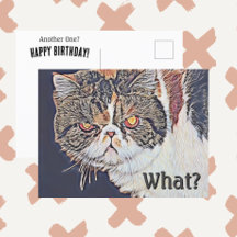 Chat Grincheux Grognon Drôle Anniversaire