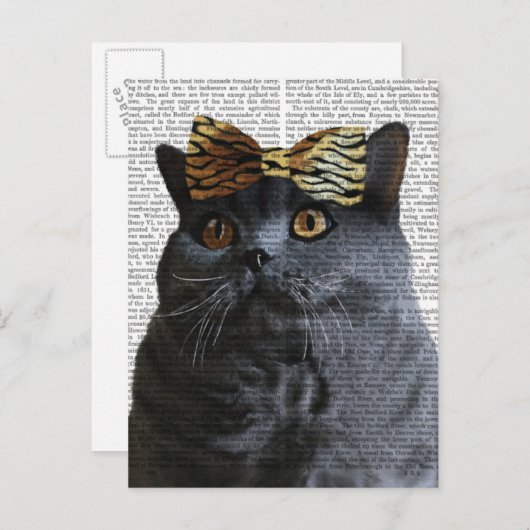 Carte Postale Chat gris avec chèvre léopard (Devant / Derrière)