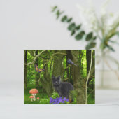Carte Postale Chat gris dans la forêt (Debout devant)