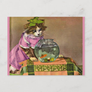 Carte Postale chat habillé et bol de poisson