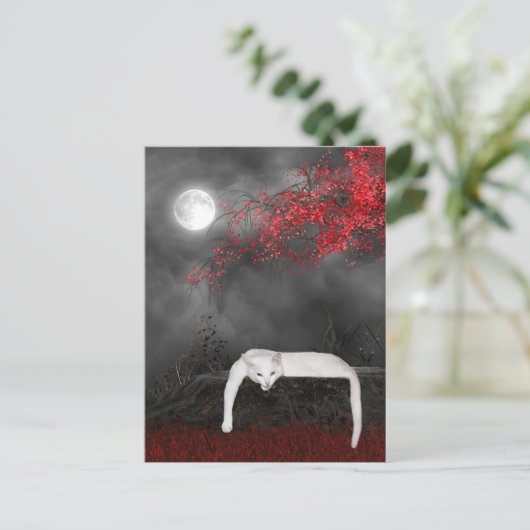 Carte Postale Chat Halloween blanc (Debout devant)