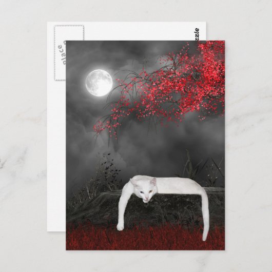 Carte Postale Chat Halloween blanc (Devant / Derrière)