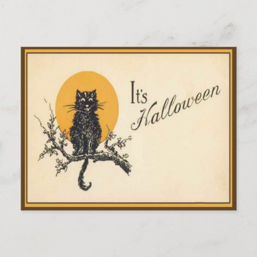 Carte postale Chat Halloween vintage (Devant)