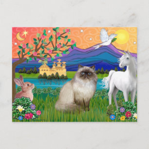 Carte Postale Chat Himalayen Colourpoint Chocolat - Terre de Fan