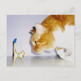 Carte Postale Chat humoristique regardant une statue de chat en