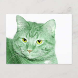 Carte Postale Chat irlandais