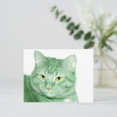 Carte Postale Chat irlandais (Debout devant)