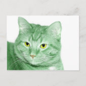 Carte Postale Chat irlandais (Devant)