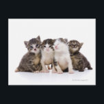 Carte Postale Chat japonais<br><div class="desc">Chat japonais | ULTRA.F | AssetID : 82278509</div>
