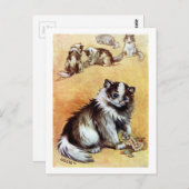 Carte Postale Chat jouant avec la Bijouterie, Louis Wain (Devant / Derrière)